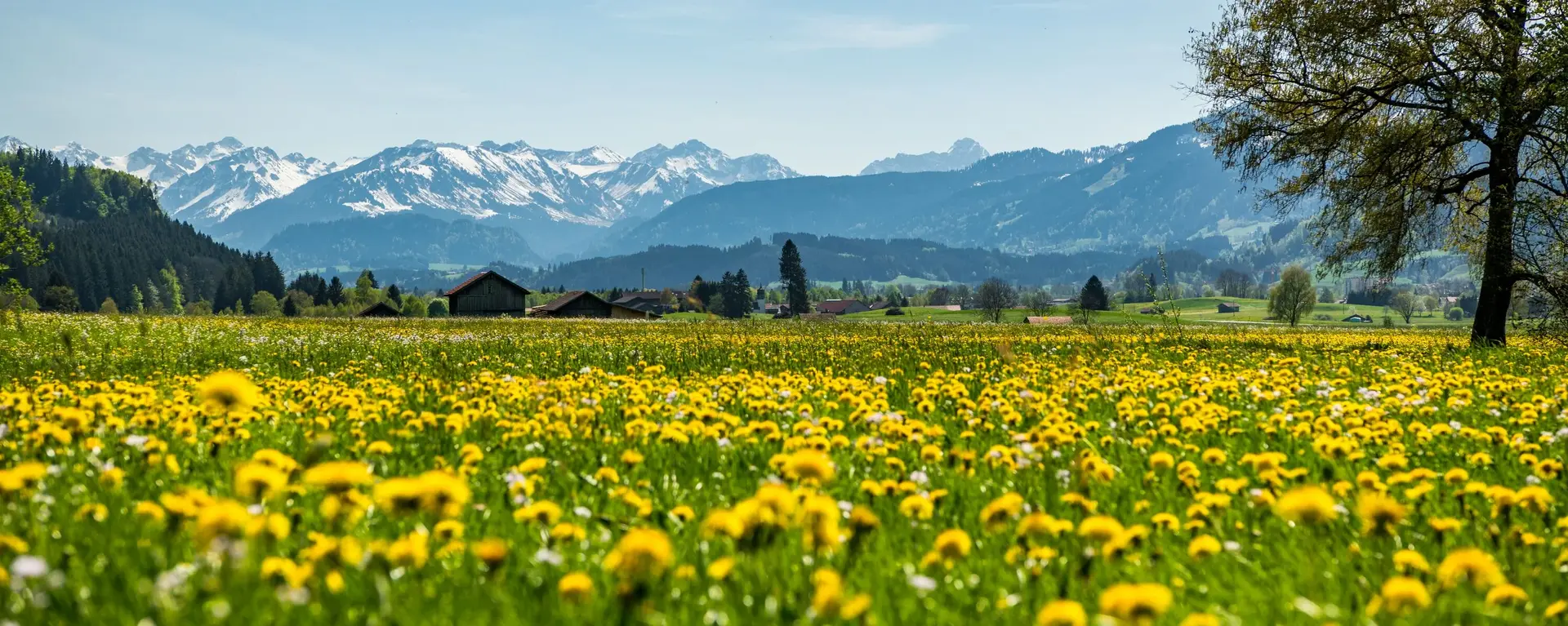 - © Allgaeu_GmbH_Foto_Erika_Spengler