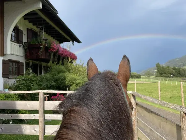 © fewo-himmeleck.de